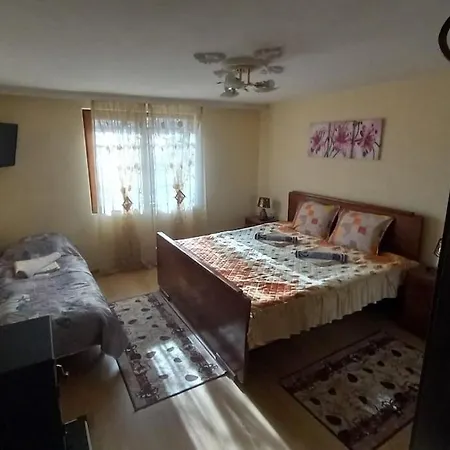 казакови